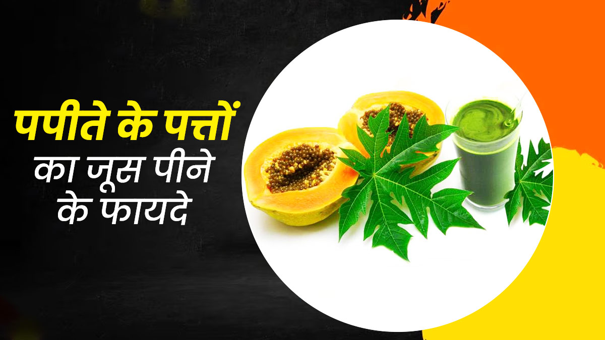 Papaya leaf 2025 benefits in hindi