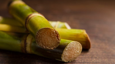 Sugarcane Juice: Side effects Of Consuming It In Monsoon
