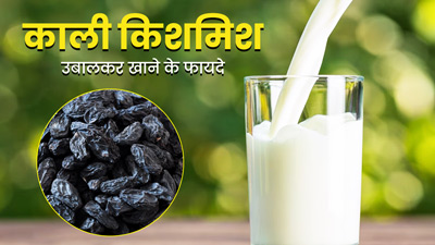 रात को दूध में उबालकर खाएं काली किशमिश, सेहत को मिलेंगे ये 4 फायदे