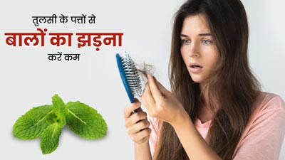 झड़ते बालों की समस्या को दूर करेंगे तुलसी के पत्ते, इस तरह करें इस्तेमाल