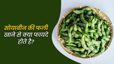 सोयाबीन की फली खाने से सेहत को मिलते हैं ये 5 जबरदस्त फायदे, डाइट में जरूर करें शामिल