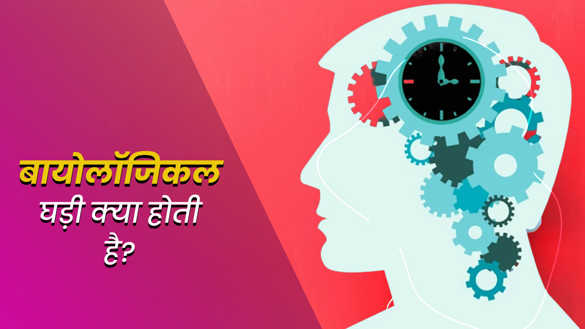 बायोलॉजिकल क्लॉक क्या होती है? जानें घड़ी के बदलाव से शरीर पर पड़ने वाले प्रभाव