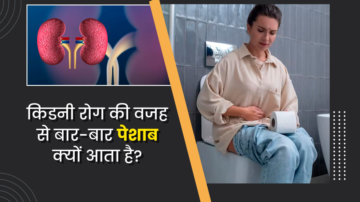 किडनी रोग होने की वजह से बार-बार पेशाब क्यों आता है? डॉक्टर से जानें
