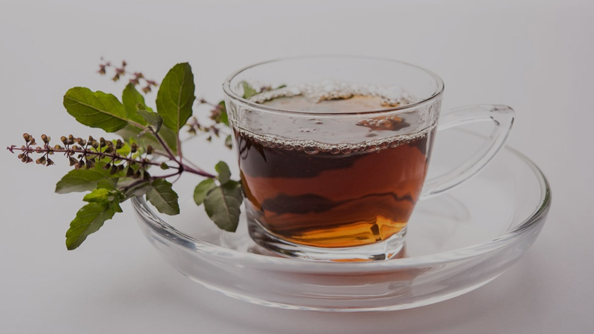 Herbs-For-Monsoon