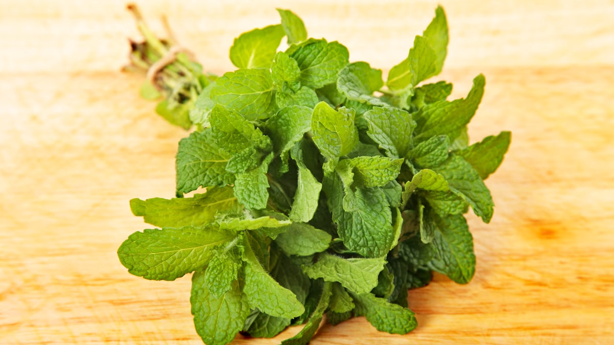 Basil Leaves Benefits To Lower Cholesterol
