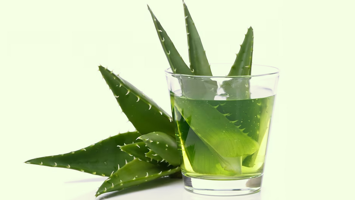 Itching-Ayurvedic-Herbs-I