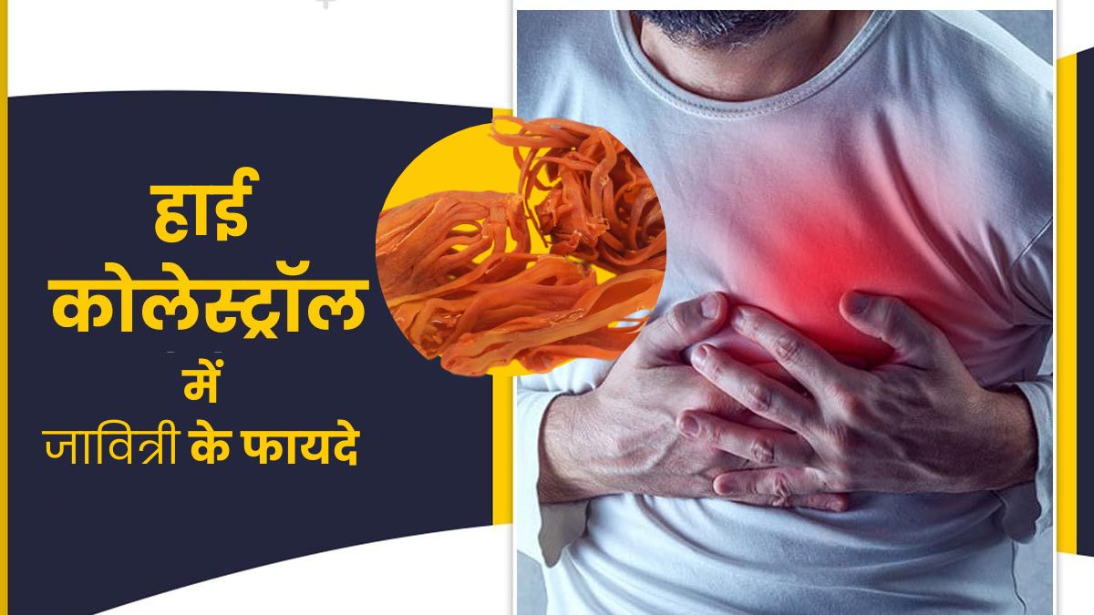 कोलेस्ट्रॉल कम करने के लिए ऐसे करें जावित्री का इस्तेमाल? तेजी से मिलेगा फायदा
