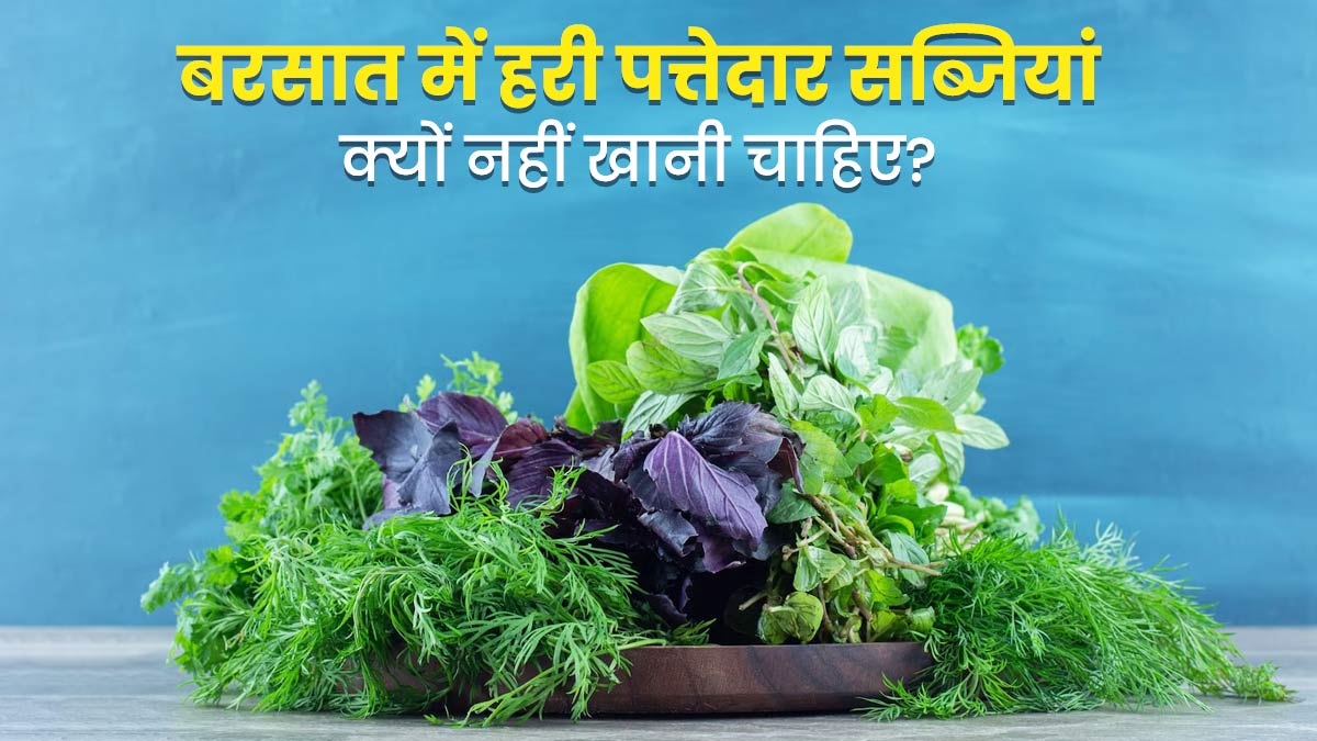 बारिश के मौसम में हरी पत्तेदार सब्जियां क्यों नहीं खानी चाहिए? एक्सपर्ट से जानें इसके नुकसान