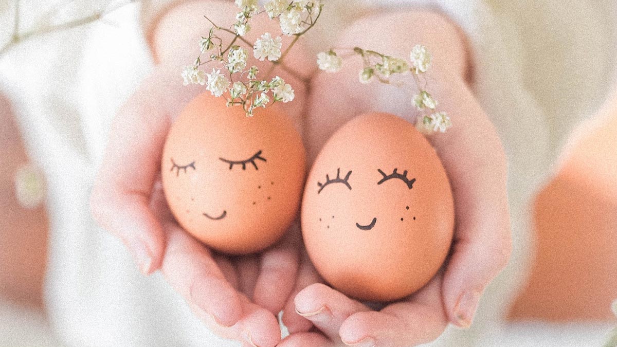egg quality