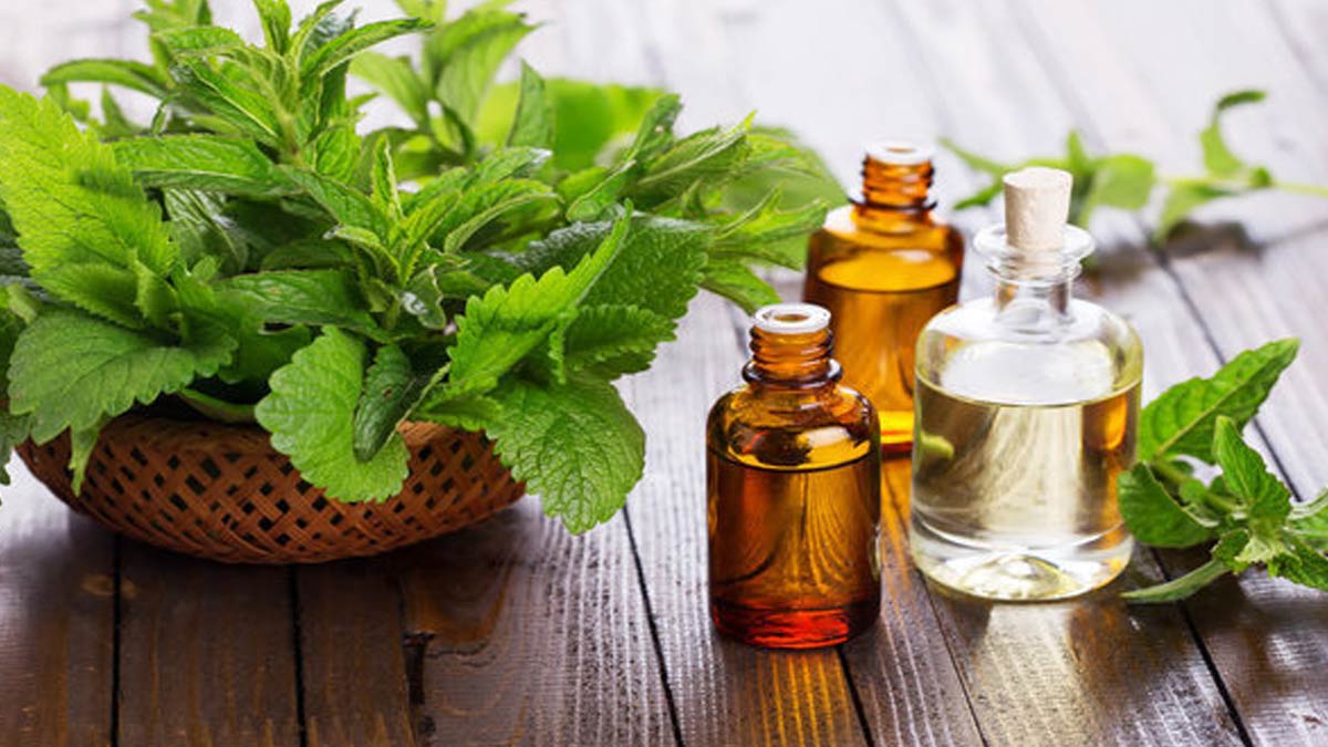peppermint oil for headache