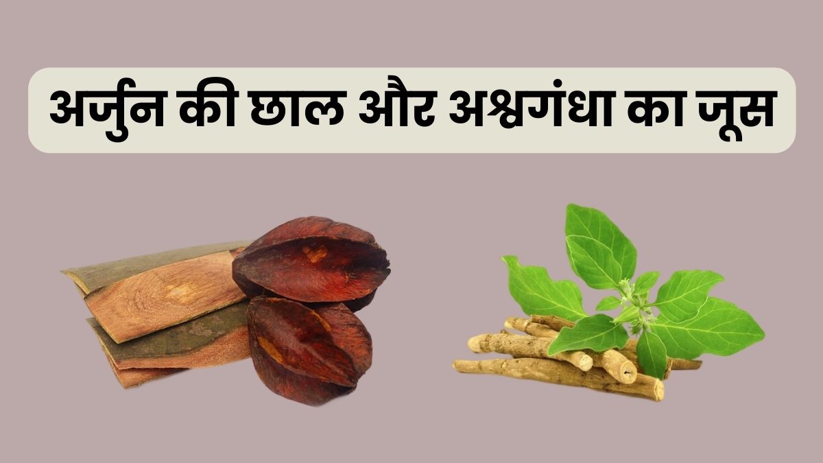 डायबिटीज और बीपी समेत कई समस्याओं में फायदेमंद है अर्जुन की छाल और अश्वगंधा का जूस, जानें तरीका