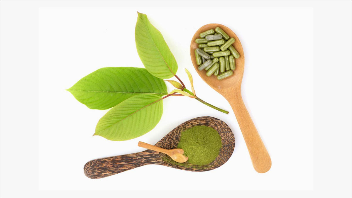 Buy Natural White Vein Kratom Powder Online 