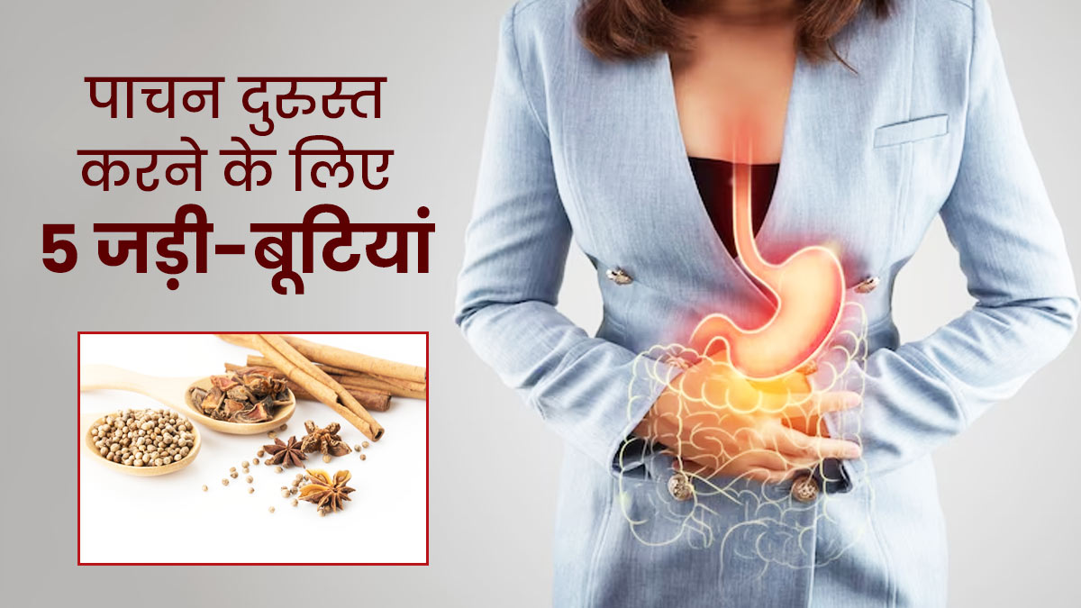 खराब डाइजेशन से होने वाली समस्याओं का काल हैं ये 5 जड़ी-बूटियां, डाइजेशन को बनाती हैं मजबूत