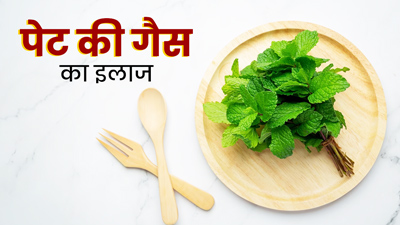 प्रेग्नेंसी में पेट की गैस से छुटकारा दिलाएंगी ये 5 जड़ी-बूटियां, इस तरह से करें इस्तेमाल 