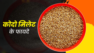 सेहत के लिए बेहद फायदेमंद होता है कोदो, डाइट में जरूर करें शामिल