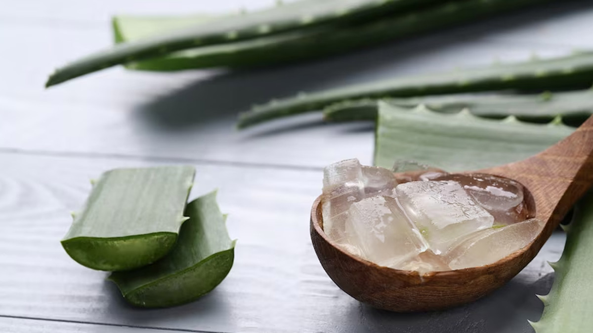 Aloevera