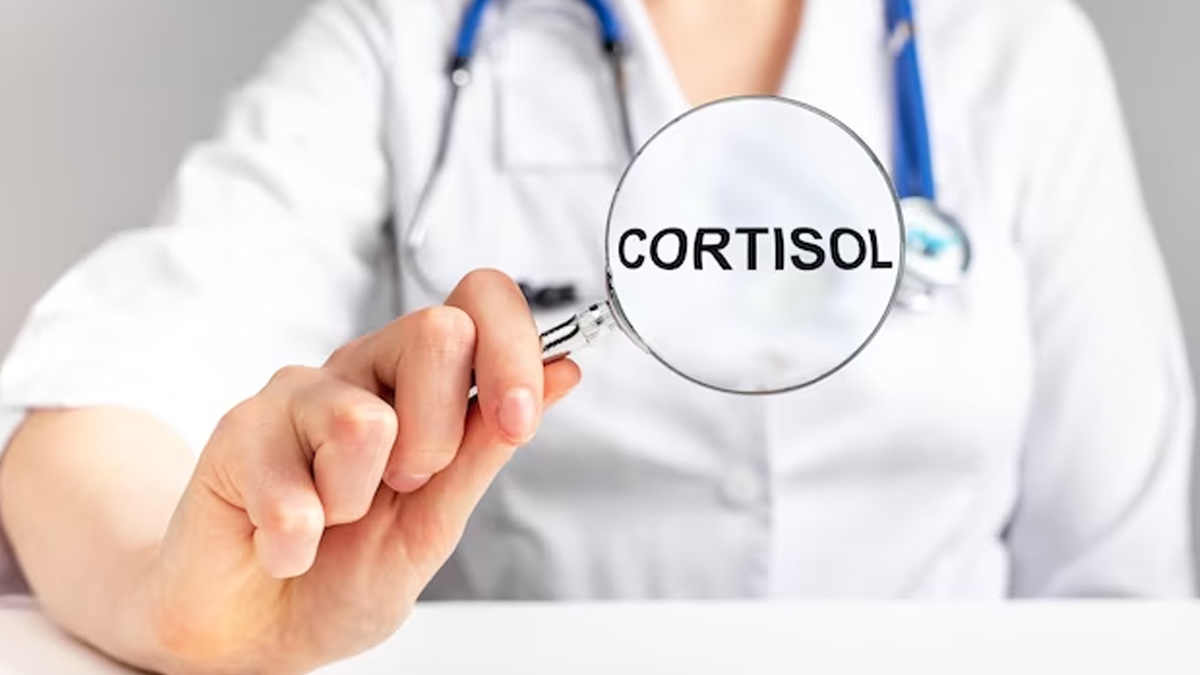what is cortisol