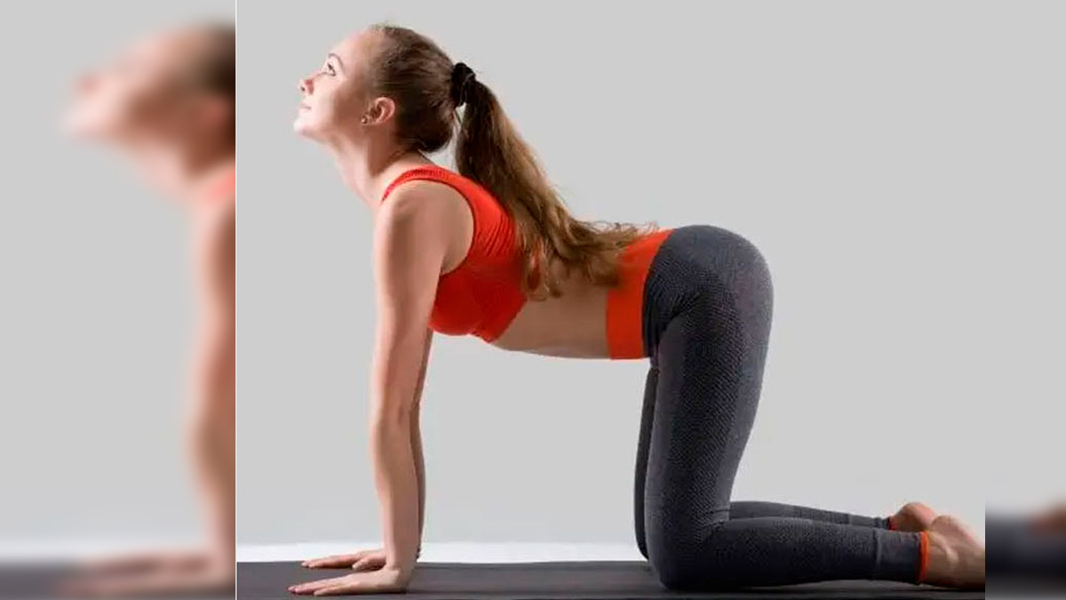 Cat-Pose-For-Irritable-Bowel-Syndrome