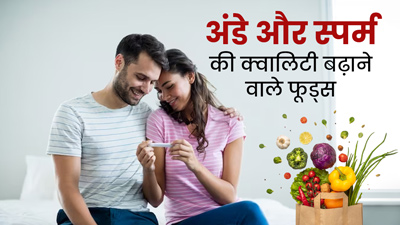 अंडे और स्पर्म की क्वालिटी बेहतर बनाने के लिए खाएं ये 7 फूड्स, गर्भधारण में नहीं होगी परेशानी