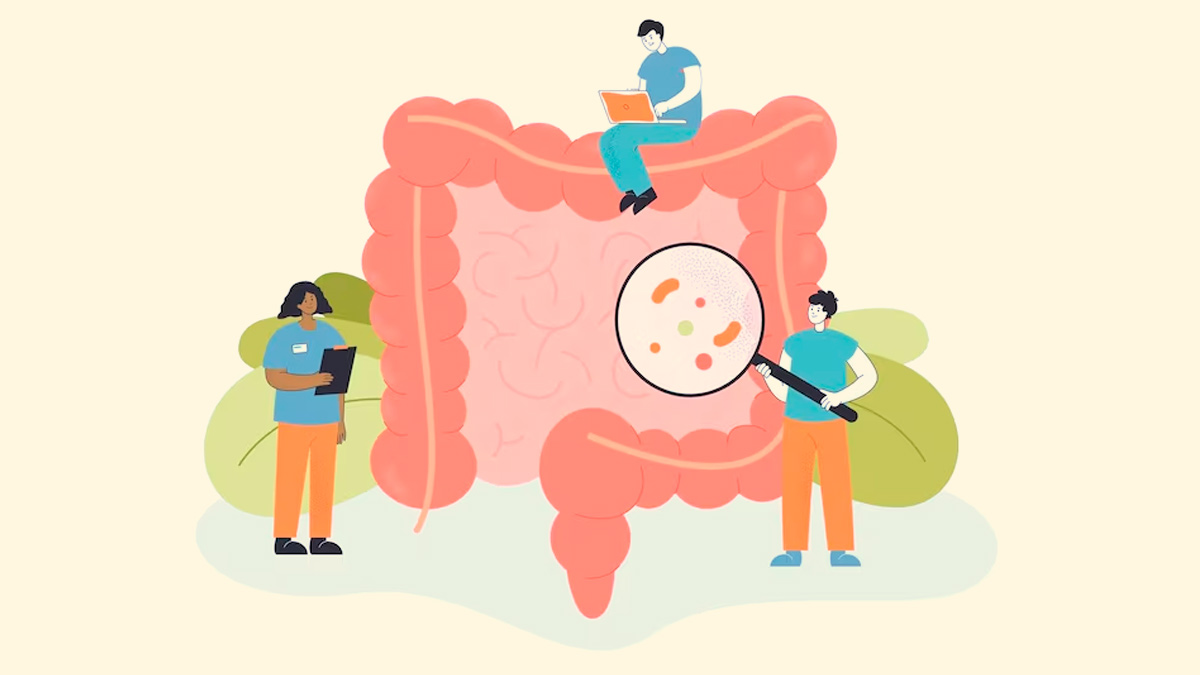 Why Is the Gut Called Our Second Brain? Read on To Know 