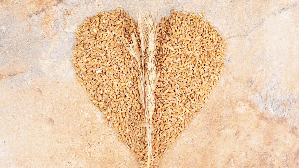 Wheat Germ Benefits To Lower High Cholesterol