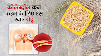 कोलेस्ट्रॉल कम करने के लिए इस तरीके से करें गेहूं का सेवन, मिलेंगे जबरदस्त फायदे