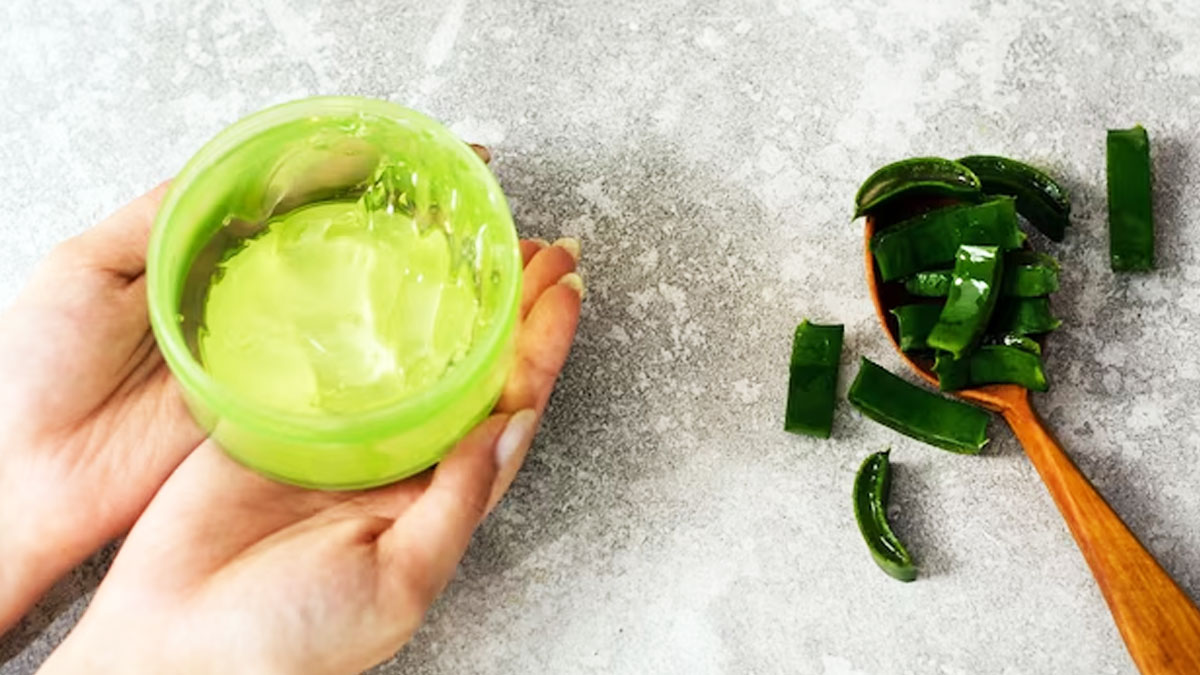 aloe vera scalp scrub 
