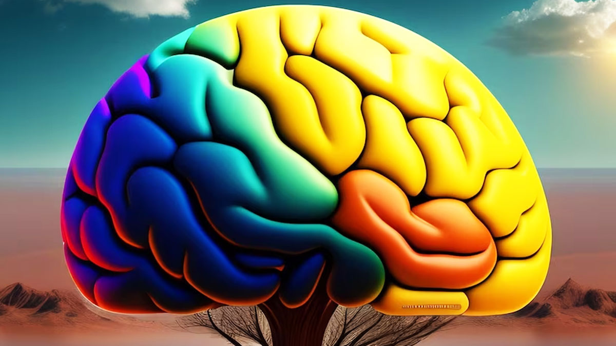how climate change affects brain 