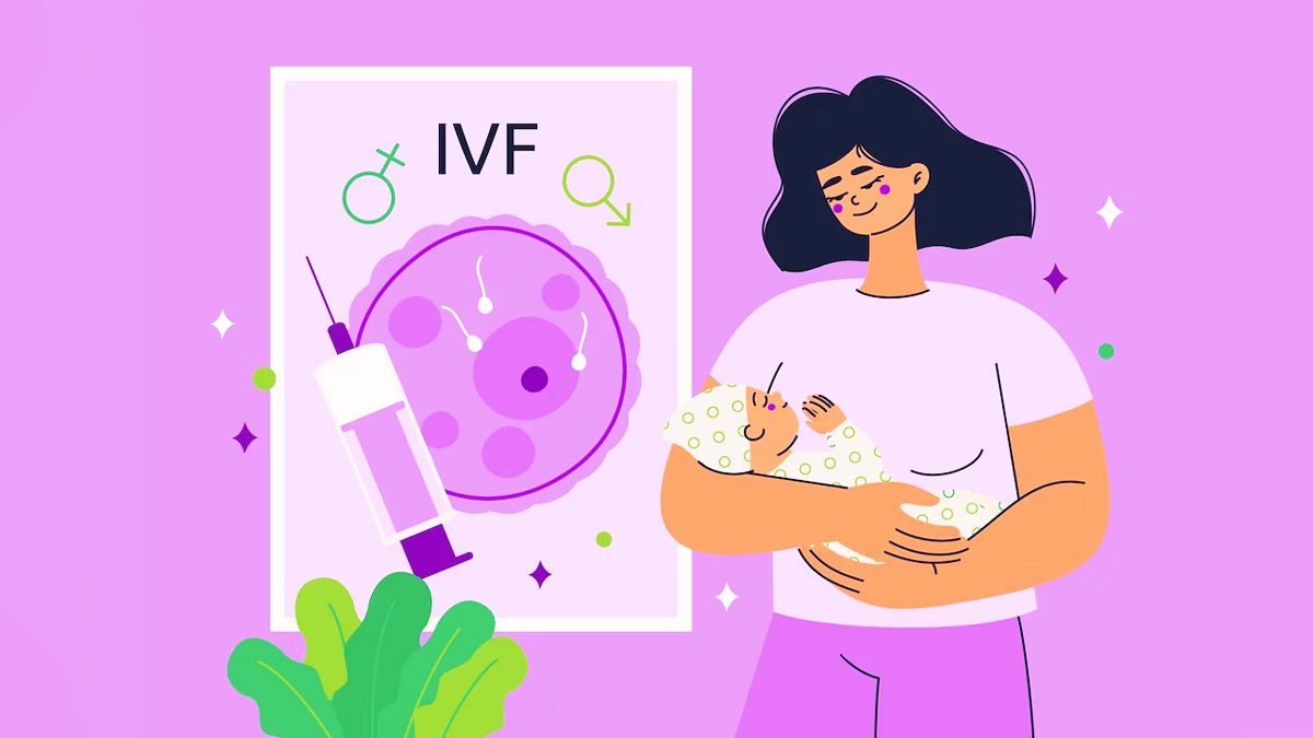 IVF stages