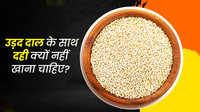 क्या उड़द की दाल के साथ दही खा सकते हैं? जानें सुरक्षित है या नहीं