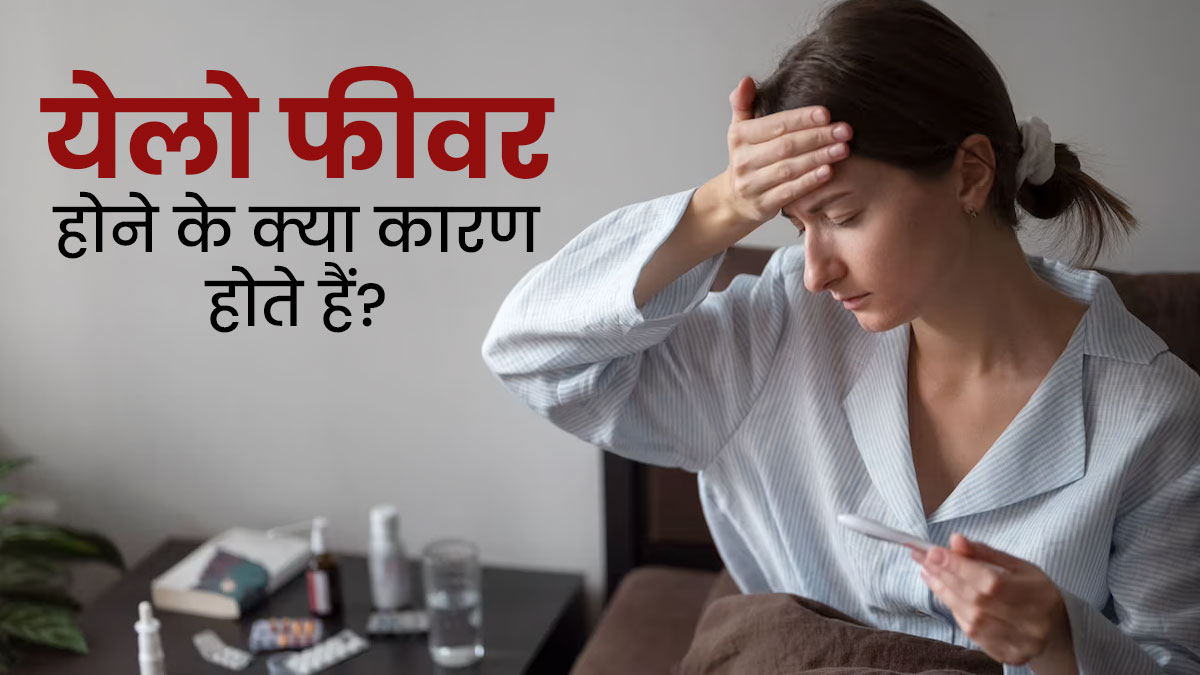 येलो फीवर क्या है? जानें इस बुखार के लक्षण, कारण और इलाज  