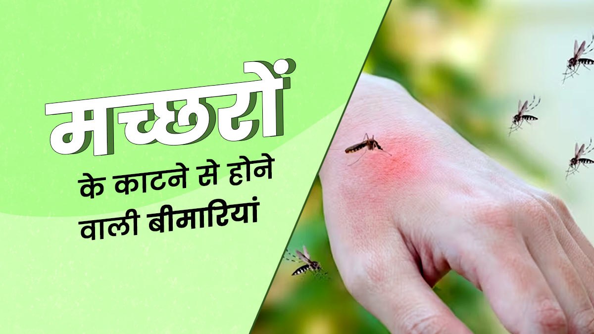 मच्छरों के काटने से हो सकती हैं ये 4 गंभीर बीमारियां, मानसून में बरतें पूरी सावधानी