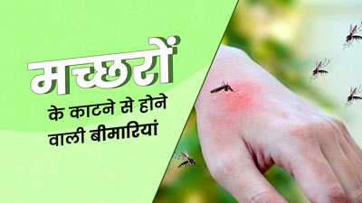 मच्छरों के काटने से हो सकती हैं ये 4 गंभीर बीमारियां, मानसून में बरतें पूरी सावधानी