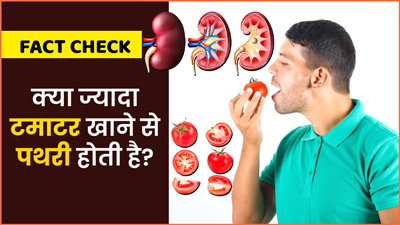 Fact Check: क्या ज्यादा टमाटर खाने से पथरी होती है? जानें क्या कहते हैं डॉक्टर
