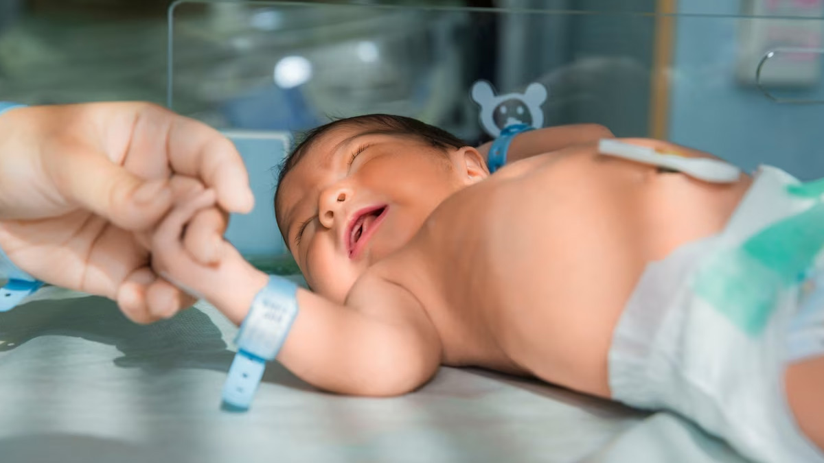 IVF treatment in hindi 