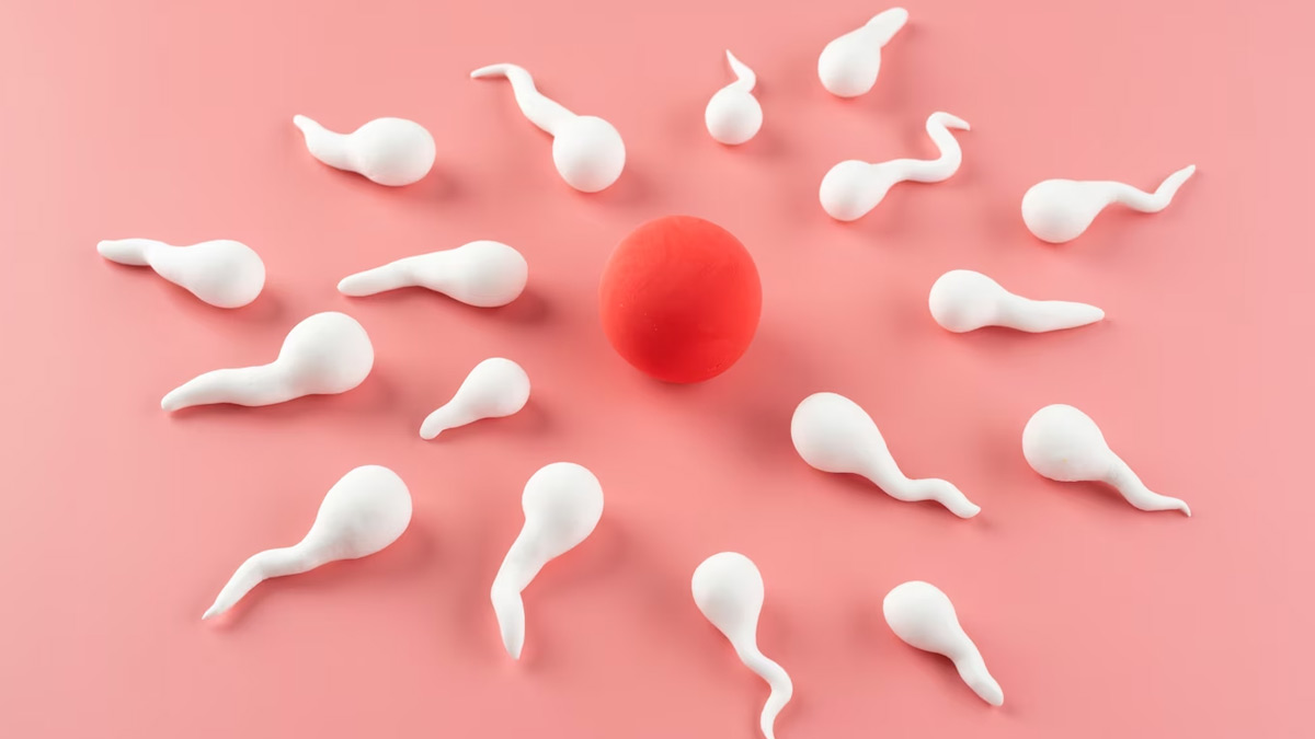 sperm quality affect ivf success