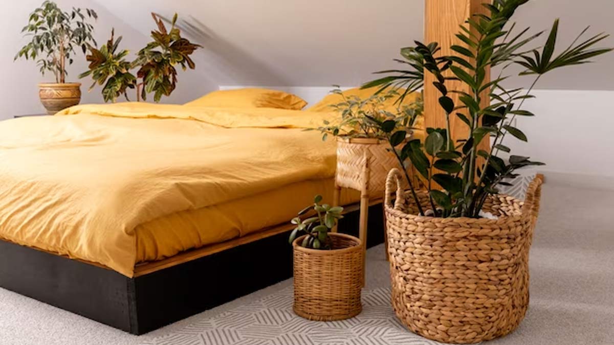 bedroom plants
