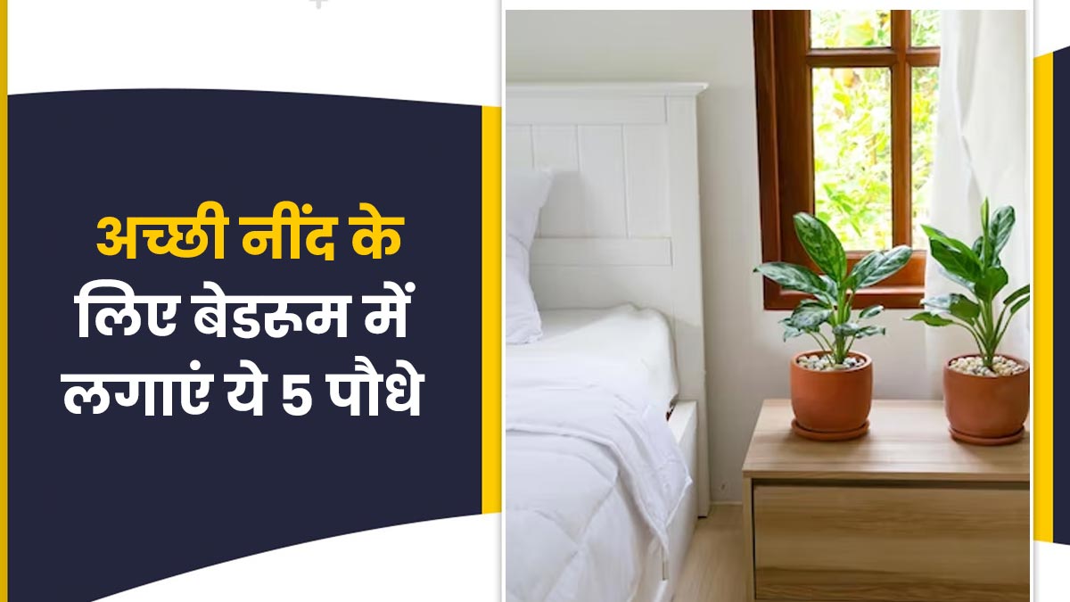 रात में नहीं आती अच्छी नींद, तो बेडरूम में लगाएं ये 5 पौधे, आएगी गहरी नींद