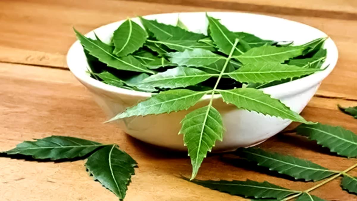 Dandruff-Home-Remedies