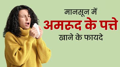 मानसून में होने वाली कई समस्याओं से राहत दिलाते हैं अमरूद के पत्ते, जानें फायदे और सेवन का तरीका