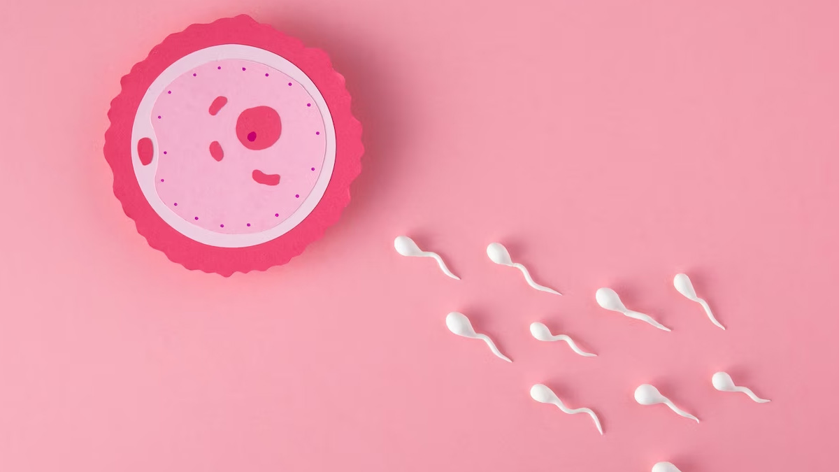 IVF and IUI difference 