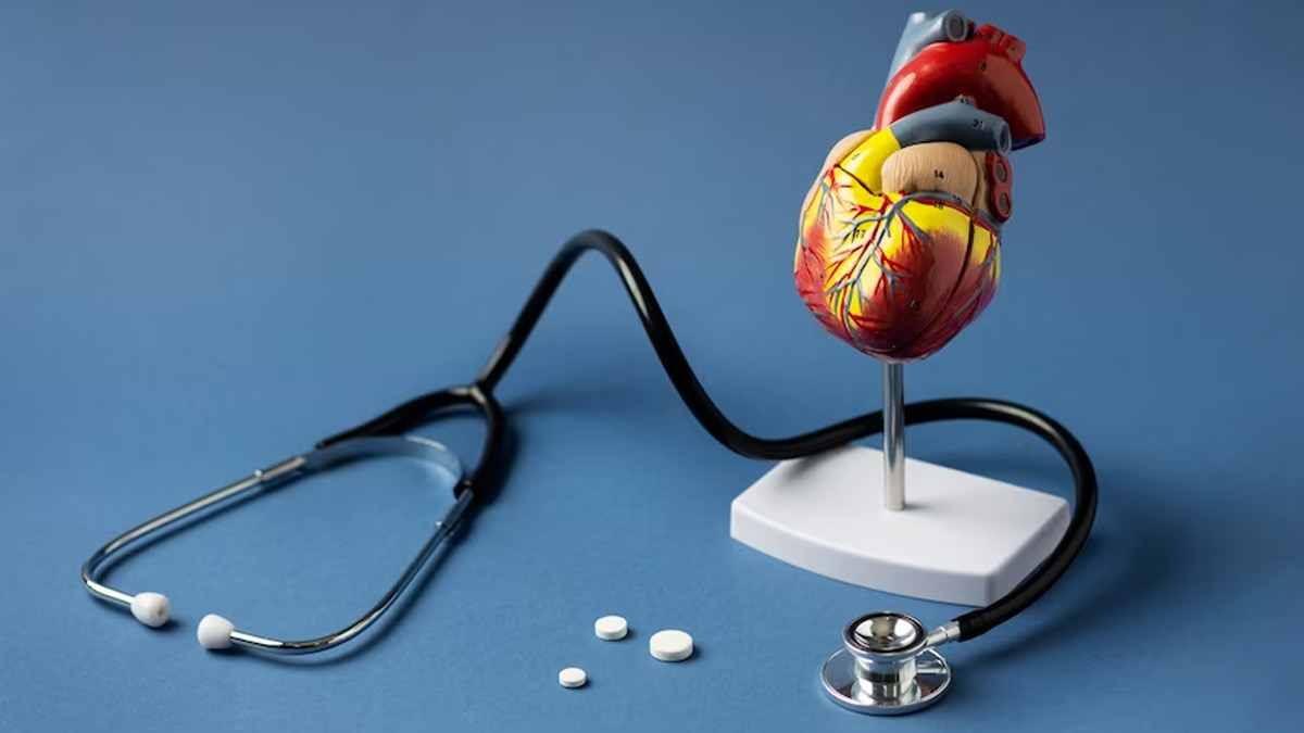 Impact of Lifestyle Modifications On Cardiovascular Health