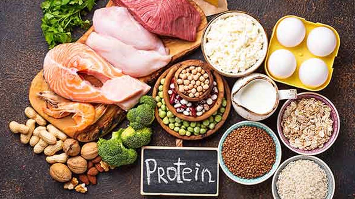 protein for ivf
