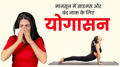 मानसून में साइनस और बंद नाक की समस्या से हैं परेशान? राहत पाने के लिए रोज करें ये 4 योगासन