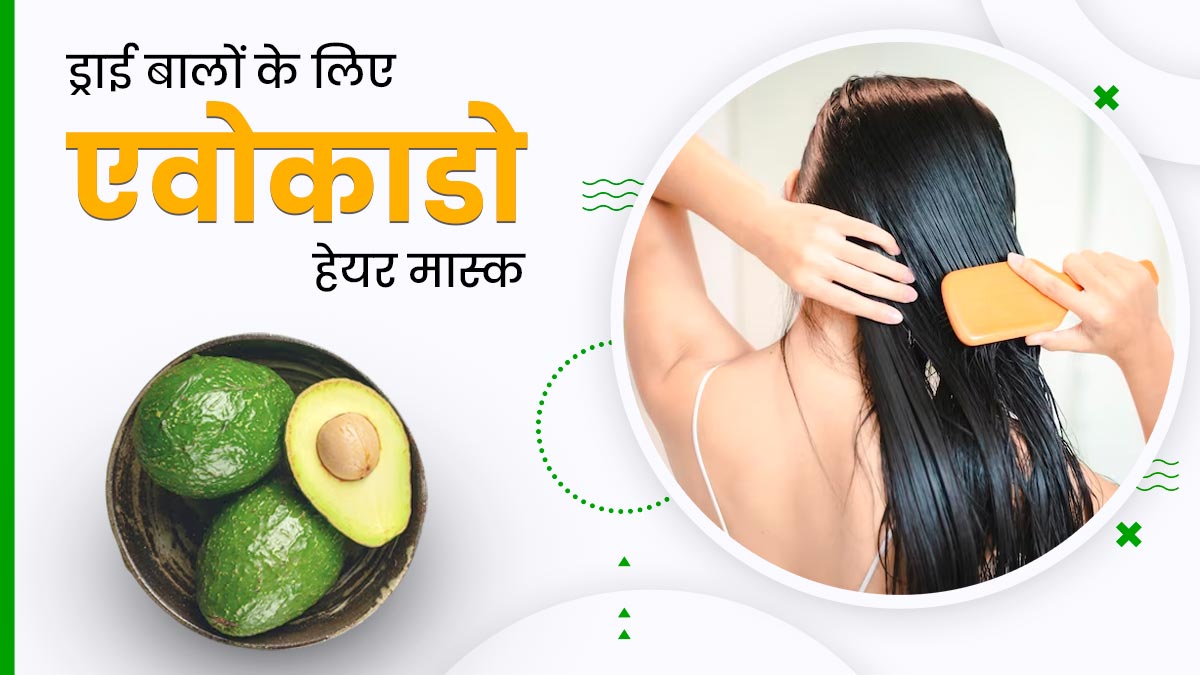 Avocado Hair Mask: बालों पर लगाएं एवोकाडो से बने ये 3 हेयर मास्क, ड्राई बालों से मिलेगा छुटकारा