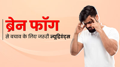 ब्रेन फॉग से बचाव के लिए डाइट में शामिल करें ये 5 न्यूट्रिएंट्स, याददाश्त होगी बेहतर