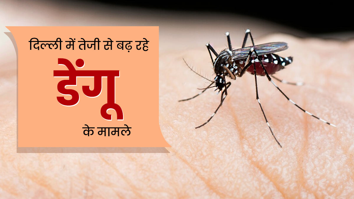 दिल्ली में तेजी से बढ़ रहे हैं डेंगू के मरीज, बचाव के लिए अपनाएं ये तरीके 