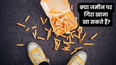 क्या जमीन पर गिरने के 5 सेकंड तक सुरक्षित रहता है खाना? जानें 5 सेकंड रूल की सच्चाई