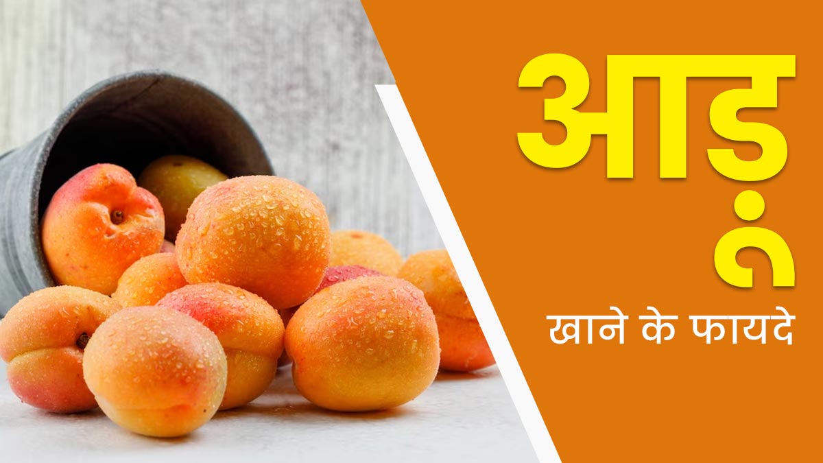 मानसून में आड़ू खाने से सेहत को मिलेंगे ये 5 जबरदस्त फायदे 