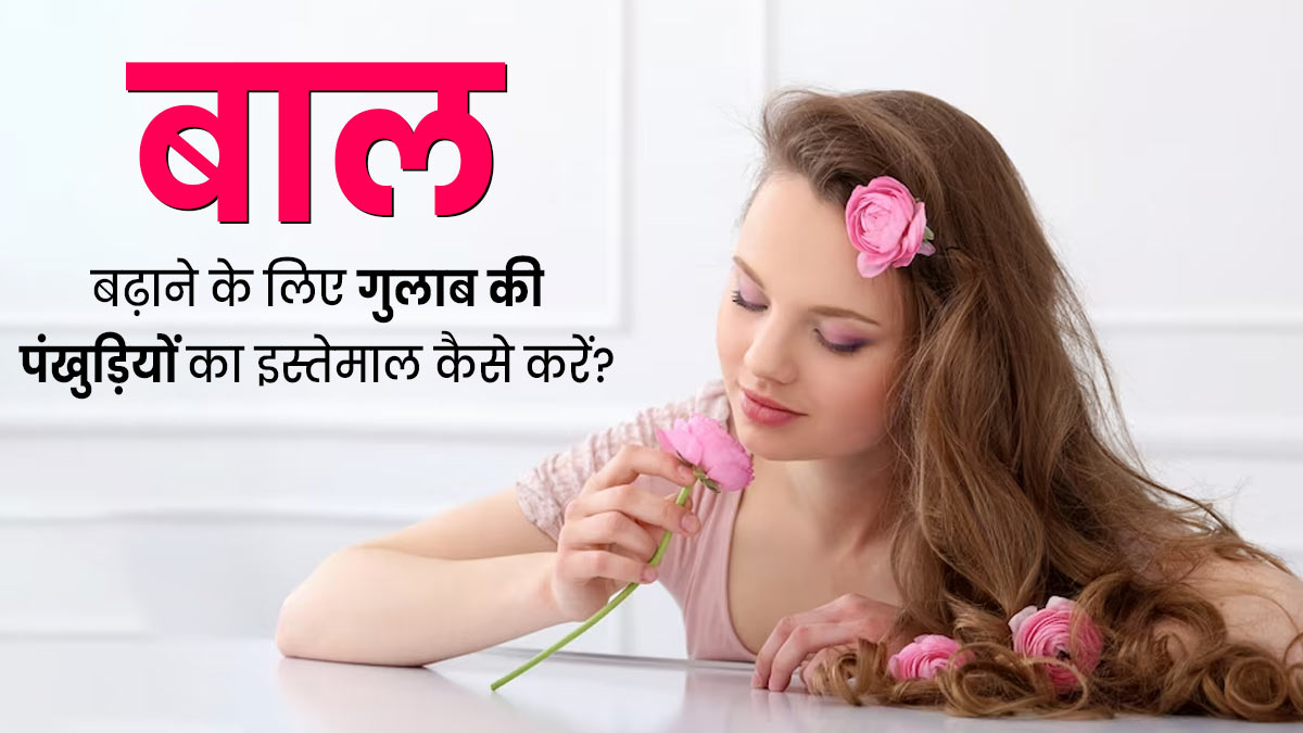 बालों पर इन 4 तरीकों से इस्तेमाल करें गुलाब की पंखुड़ियां, हेयर ग्रोथ में मिलेगी मदद